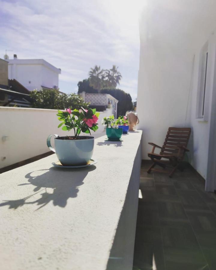 Pura B&B 노이카타로 외부 사진